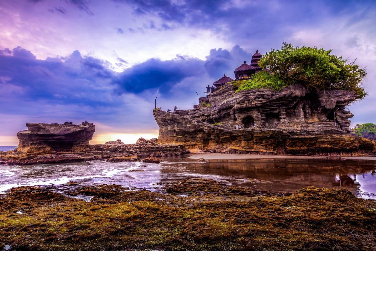 Pulau Villa Canggu מראה חיצוני תמונה